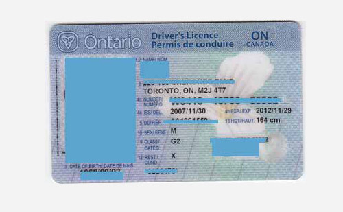  翻译加拿大驾驶证多少钱？
